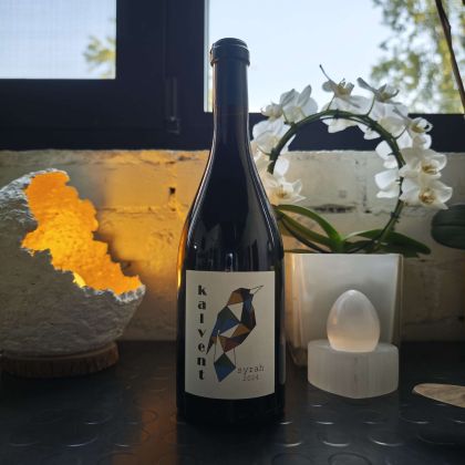 Kalvent Syrah 2024