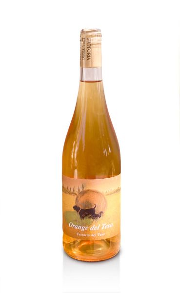 Дегустация Тоскана